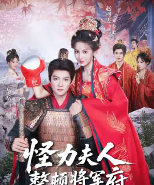 怪力夫人整顿将军府 怪力夫人整顿将军府