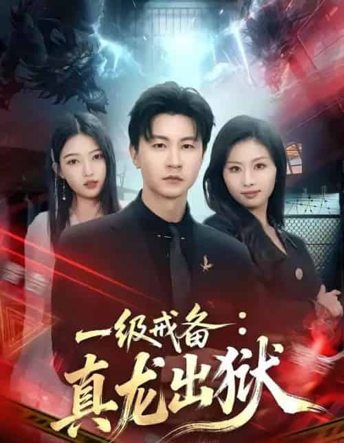 一级戒备:真龙出狱(73集全)王鹏&千文-紫橙网创项目网
