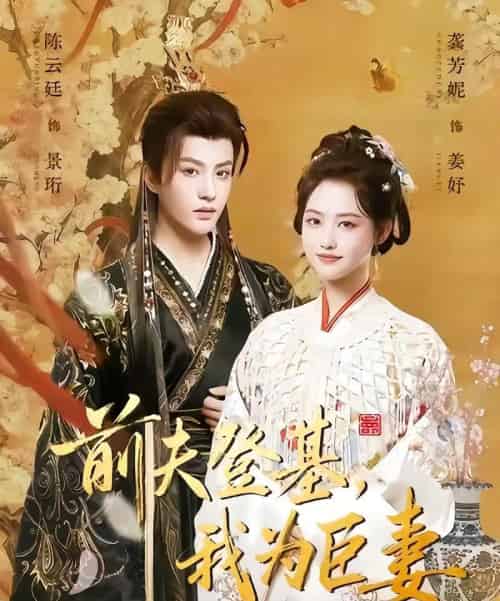 前夫登基我为臣妻(72集全)陈云廷&龚芳妮-紫橙网创项目网