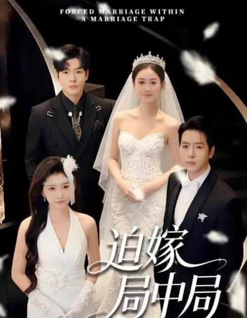 迫嫁局中局（70集全）刘云禹＆王雅妮-紫橙网创项目网