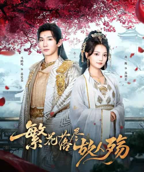 繁花落尽故人殇（70集）马鹤鸣＆尚璇 - 紫橙阁短剧