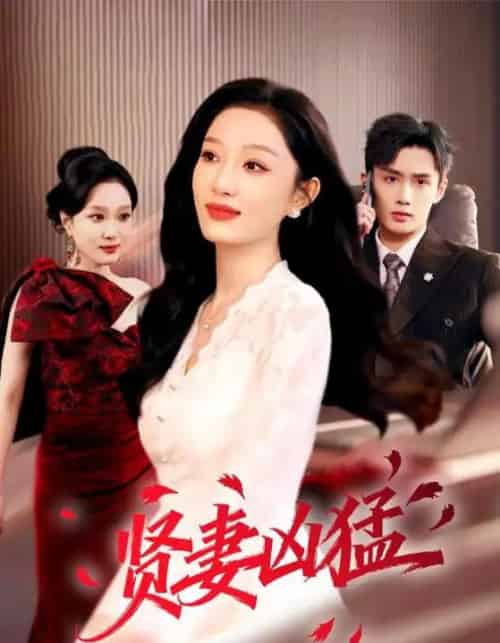 贤妻凶猛 贤妻凶猛