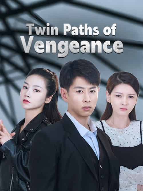 Twin Paths of Vengeance（87 episodes） - 紫橙海外短剧