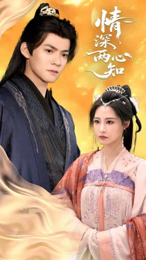 情深两心知（70集全）张震＆吕岳 - 紫橙阁短剧