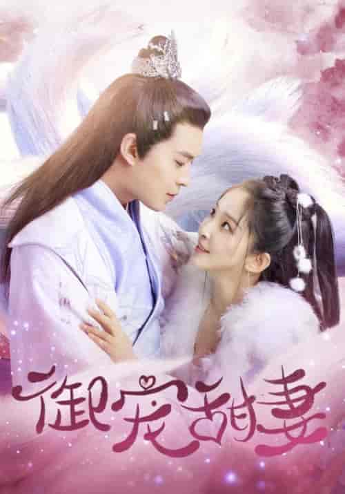 御宠甜妻（30集全）百里鸿毅＆夏以沫 - 紫橙短剧