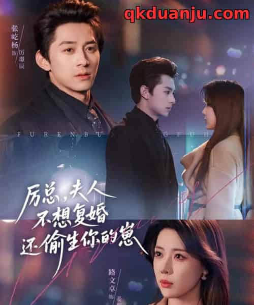 厉总，夫人不想复婚还偷生你的崽（80集全）张屹杨＆路文卓-紫橙网创项目网