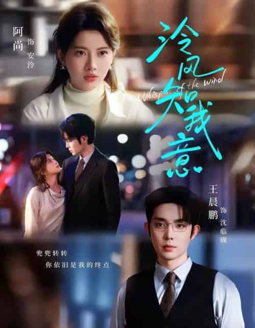 泠风知我意（80集全）王晨鹏＆阿尚（魏江）-紫橙网创项目网