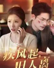 疾风起旧人离(32集)薛海威&刘灿-紫橙网创项目网