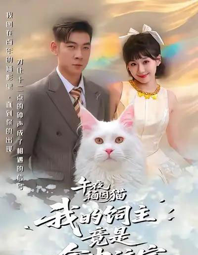 午夜缅因猫我的饲主竟是命中注定(66集全)白龙&王之遥-紫橙网创项目网
