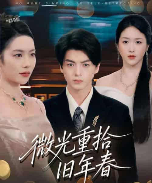 微光重拾旧年春（80集全）徐文聪＆杨林涛-紫橙网创项目网