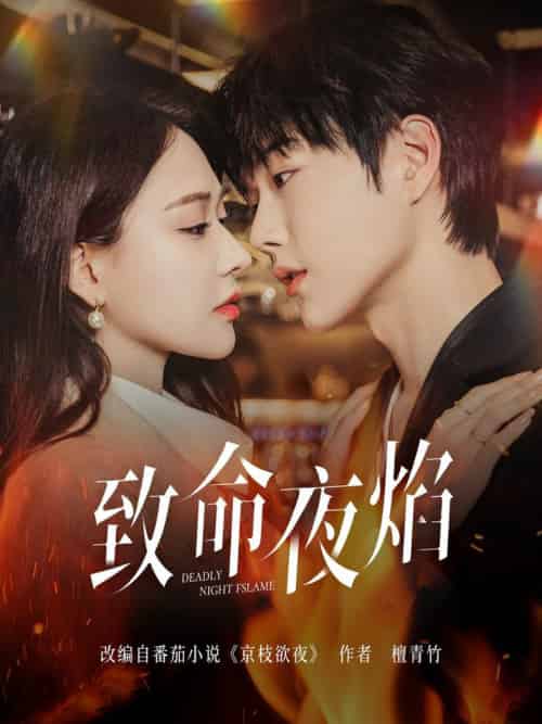 致命夜焰（80集全）王轩＆何适 - 紫橙阁短剧