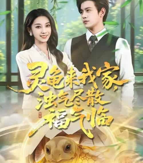 灵龟来我家,浊气尽散福气临(78集全)苏亮&王安琪-紫橙网创项目网