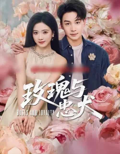 玫瑰与忠犬（80集全）范高坡＆雯婕-紫橙网创项目网