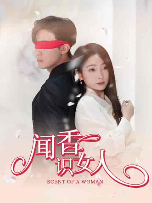闻香识女人（58集全） - 紫橙阁短剧