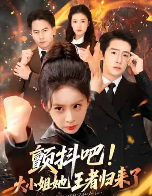 颤抖吧!大小姐她王者归来了(66集全)陈梓龙&原艺展-紫橙网创项目网