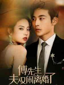 傅先生夫人又闹离婚了（80集）李艺璇 - 紫橙阁短剧