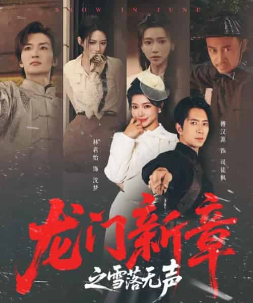 龙门新章之雪落无声(62集全)傅汉源&林君怡-紫橙网创项目网
