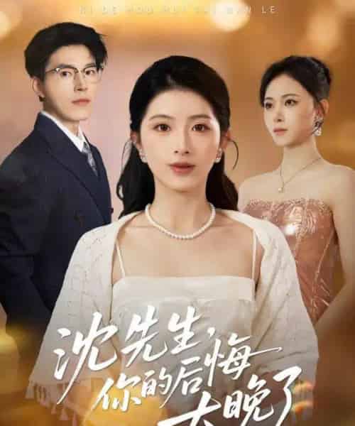 沈先生,你的后悔太晚了(40集全)肖琳&翟中星&王慧珠-紫橙网创项目网