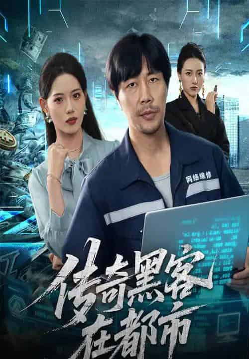 传奇黑客在都市（56集全）苗峰＆董洁-紫橙网创项目网