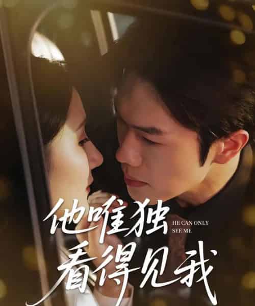 他唯独看见我（80集） - 紫橙阁短剧
