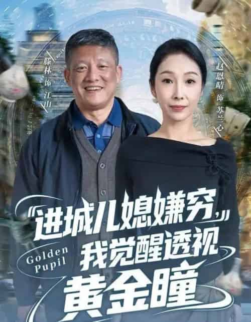 进城儿媳嫌穷，我觉醒透视黄金瞳（85集全）滕林＆赵恩晴-紫橙网创项目网