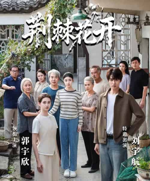 jing|棘花开(60集全)刘宇航&郭宇欣-紫橙网创项目网