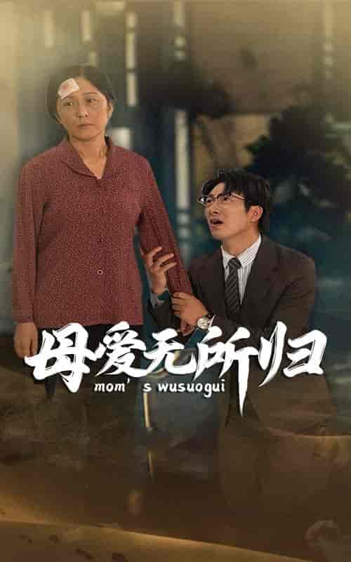 母爱无所归（33集） - 紫橙阁短剧