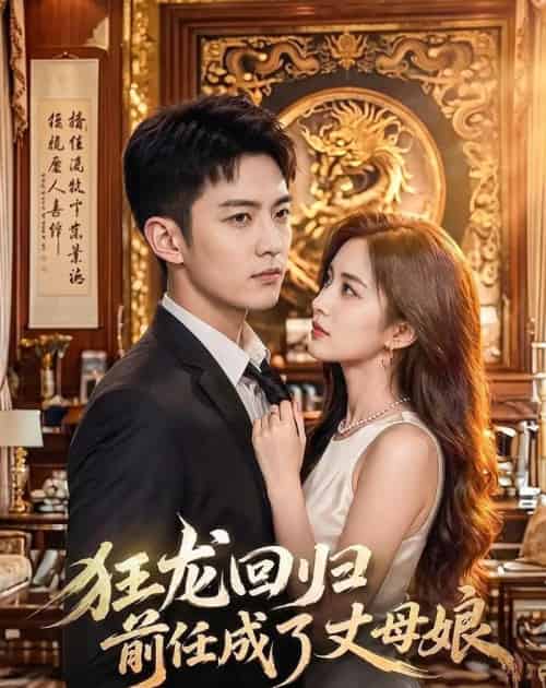 狂龙回归前任成了丈母娘(61集全)AI-紫橙网创项目网