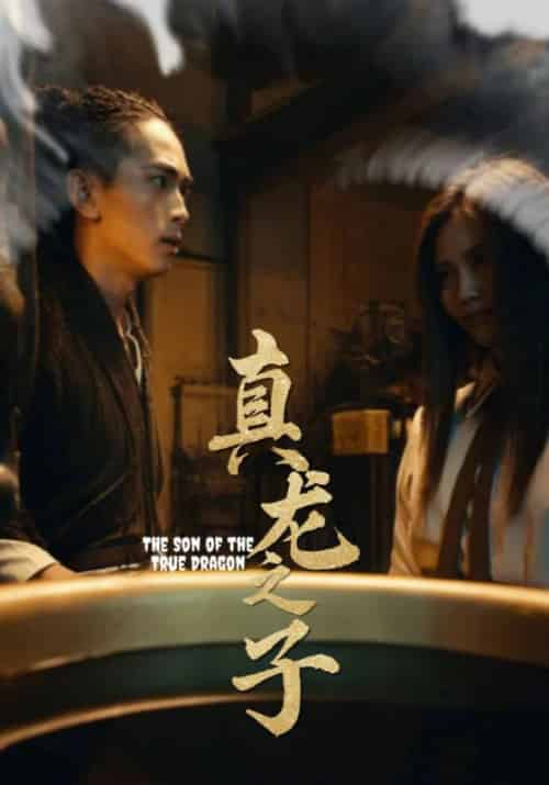 真龙之子（20集全）秦玦＆张清濯 - 紫橙阁短剧