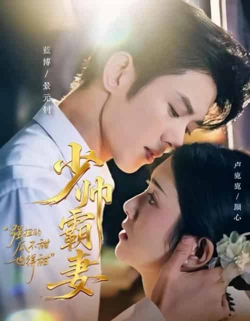 少帅霸妻,强扭的瓜不甜也得甜(70集全)蓝博&卢鹿鹿-紫橙网创项目网