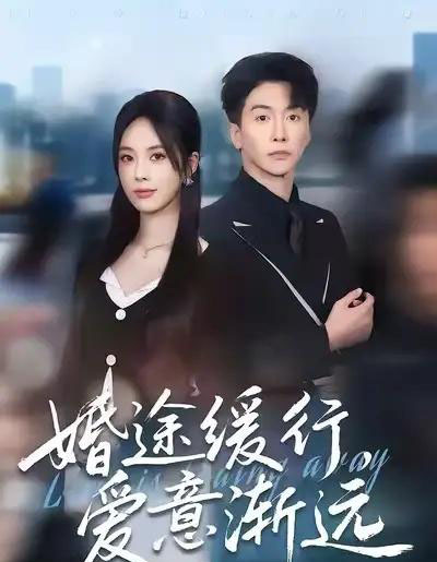 婚途缓行，爱意渐远（60集全）刘承林＆郑千亦-紫橙网创项目网