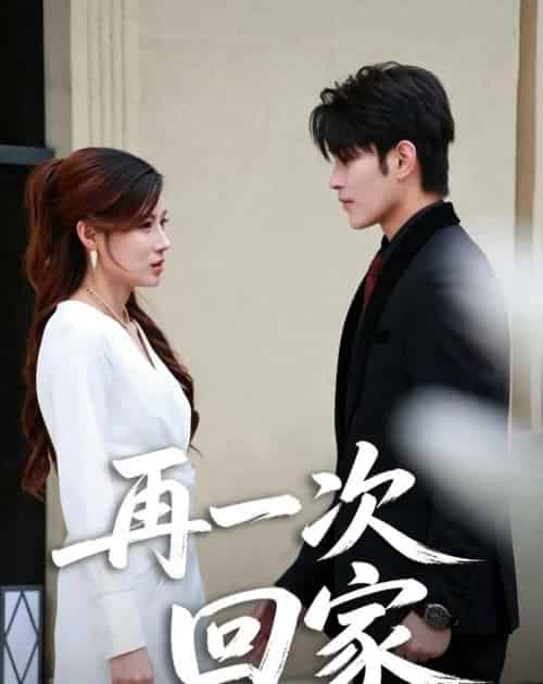 再一次回家(60集全)乔凌&张亿-紫橙网创项目网