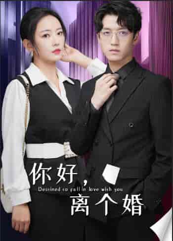 你好，离个婚（30集） - 紫橙阁短剧