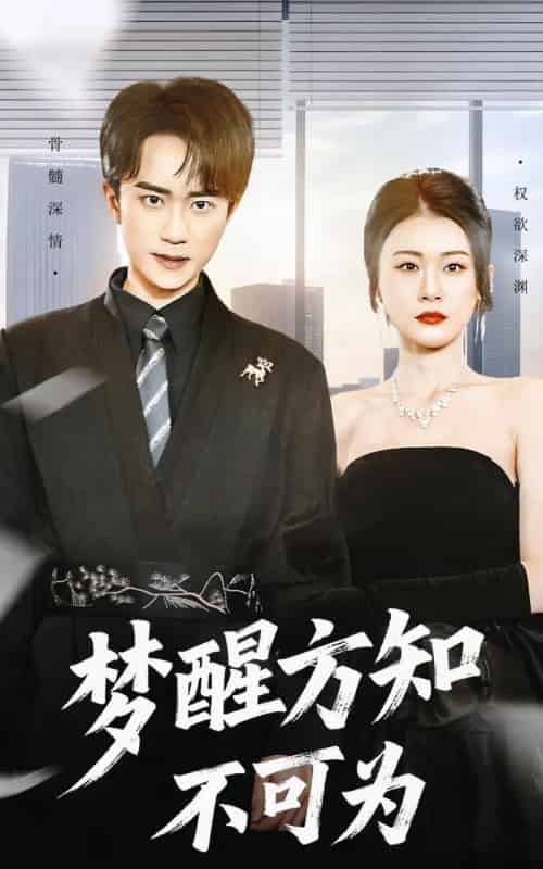 梦醒方知不可为（49集全）李永臻＆叶一宁-紫橙网创项目网