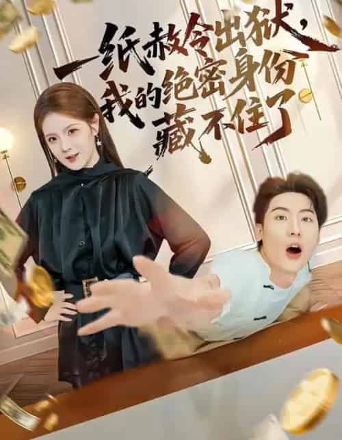 一纸赦令出狱，我的绝密身份藏不住了（80集全）吕彦霏＆张龙-紫橙网创项目网