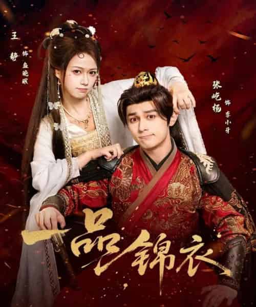 一品锦衣（80集全）张屹杨＆王静-紫橙网创项目网