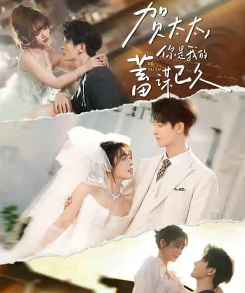贺太太，你是我的蓄谋已久（100集全）魏子翔＆李思言-紫橙网创项目网