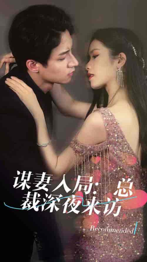 谋妻入局:总裁深夜来访 谋妻入局:总裁深夜来访