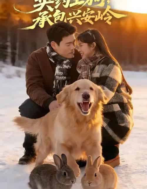 重生86：契约土狗，承包兴安岭（80集全）王冠程＆李可馨-紫橙网创项目网