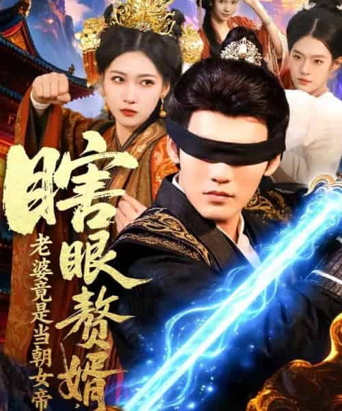 瞎眼赘婿，老婆竟是当朝女帝（84集全）林准-紫橙网创项目网