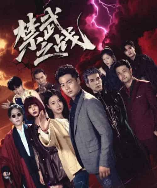 禁武之战（60集） - 紫橙阁短剧
