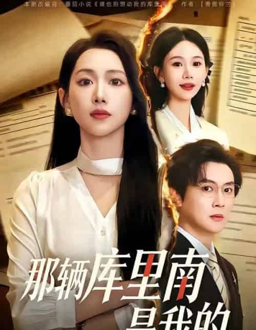 那辆库里南是我的（61集全）宋星翰＆赵婧祎-紫橙网创项目网