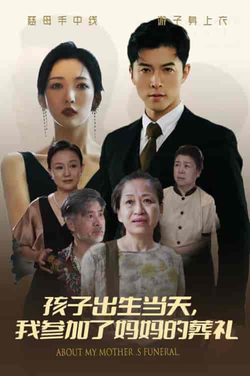 孩子出生当天，我参加了妈妈的葬礼（75集全）赵琪琪 - 紫橙阁短剧