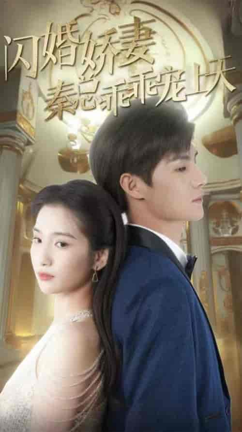 闪婚娇妻秦总乖乖宠上天 闪婚娇妻秦总乖乖宠上天