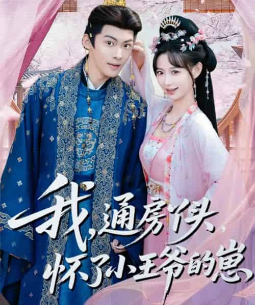 我,通房丫头,怀了小王爷的崽(60集全)高张博&盛佳琦-紫橙网创项目网