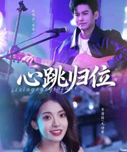 心跳归位（82集全）宗沐一＆毛婧馨-紫橙网创项目网