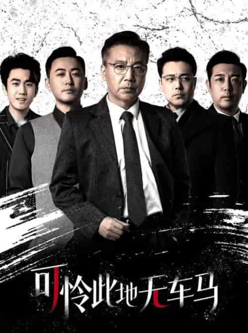 可怜此地无车马＆我骑个电驴怎么了（30集全） - 紫橙阁短剧