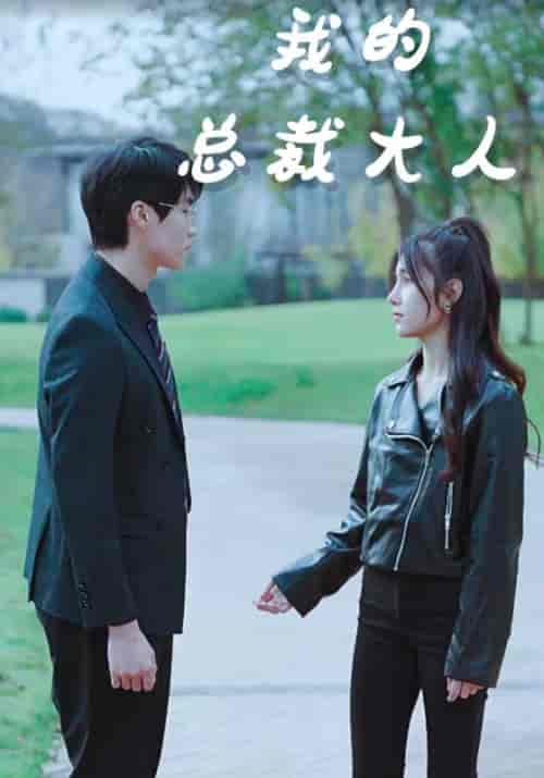 我的总裁大人（85集）-紫橙网创项目网