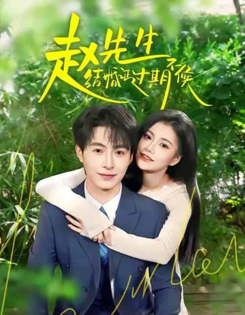 赵先生结婚证过期不候（50集全）郭伊慧＆张宸硕-紫橙网创项目网