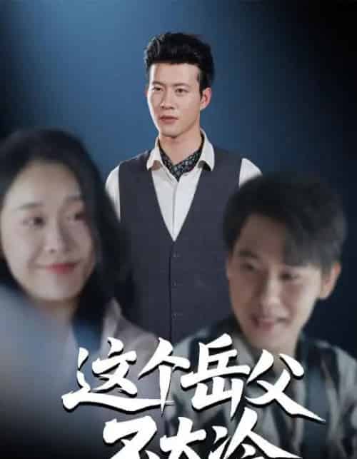 这个岳父不太冷(30集全)黄科&朱晓冬-紫橙网创项目网